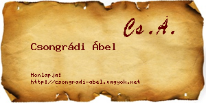 Csongrádi Ábel névjegykártya